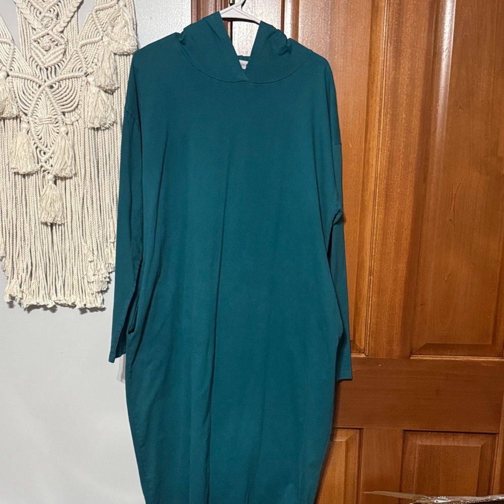 Nuggles Teal Long Sleeve Dress
